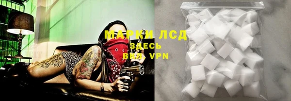 амф Алексин