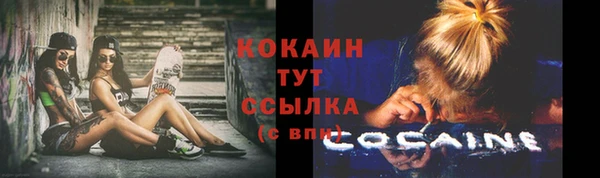 амф Алексин