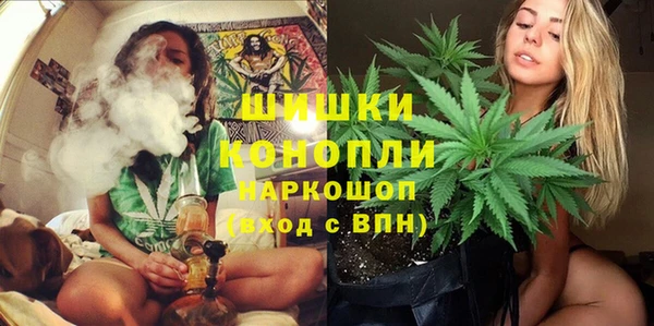амф Алексин